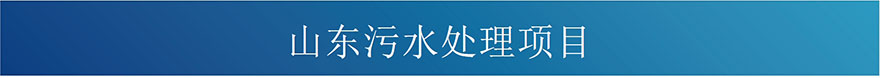 4С(bio)}.jpg